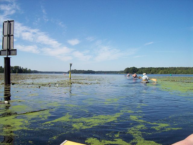 Einfahrt Dämeritzsee